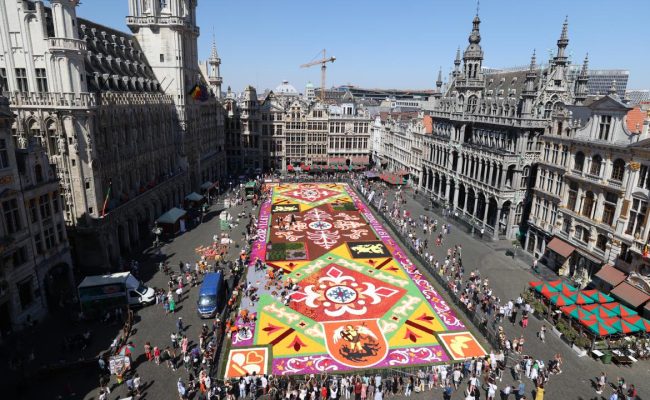 belcika-cicek-halisi-aa-1896267